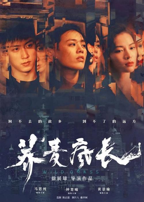 东北师范大学人文学院毕业证丢了怎么办